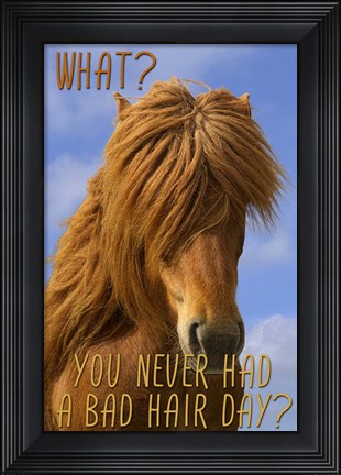 Framed Bad Hair Day Print