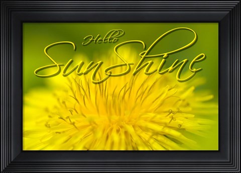 Framed Hellow Sunshine Print