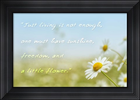 Framed Little Flower Print