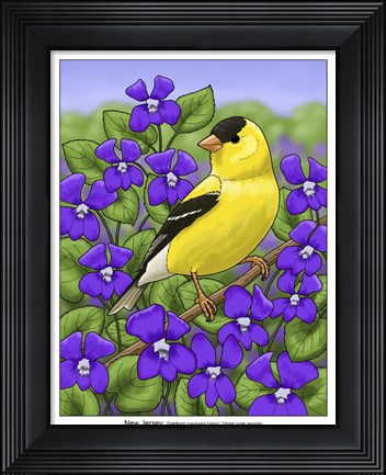 Framed State Birds And Flowers NJ Print