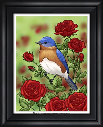 Framed State Birds And Flowers NY Print
