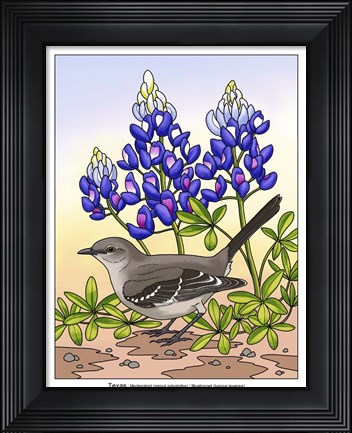 Framed State Birds And Flowers TX Print
