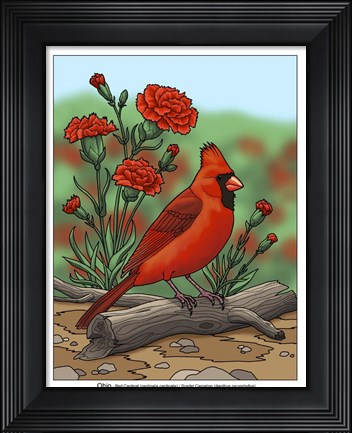 Framed State Birds And Flowers OH Print
