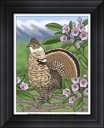 Framed State Birds And Flowers PA Print