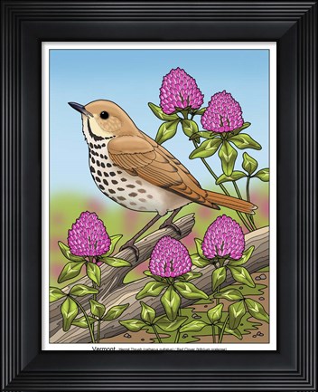 Framed State Birds And Flowers VT Print