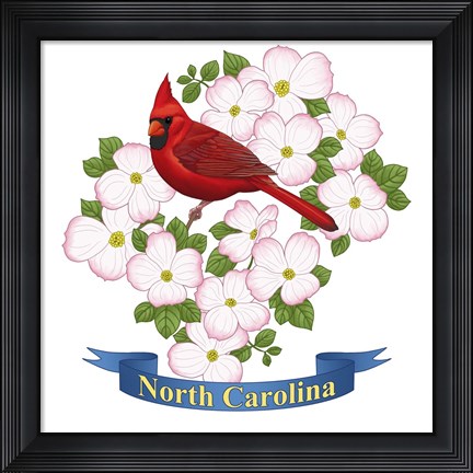 Framed State Bird And Flower NC Print