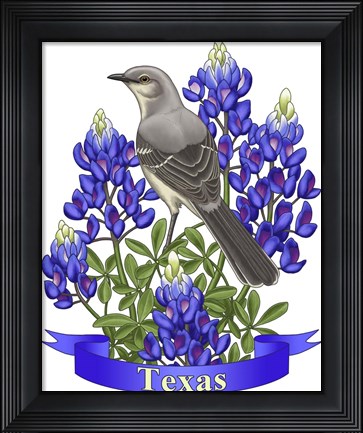 Framed State Birds And Flowers TX 2 Print