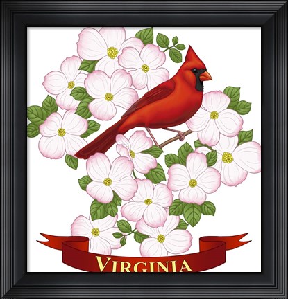 Framed State Birds And Flowers VA 2 Print