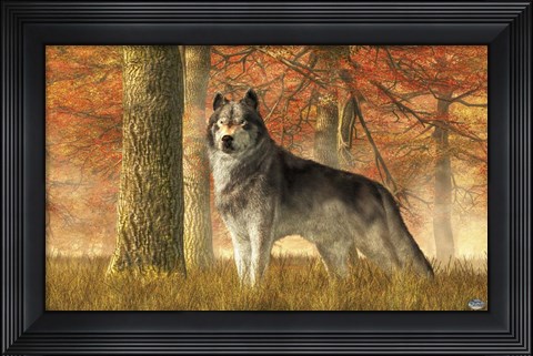 Framed Wolf In Autumn Print