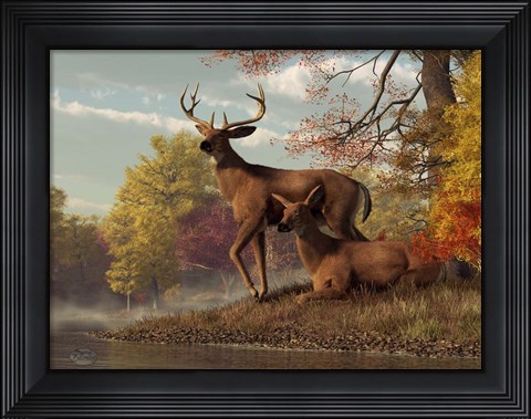 Framed Deer On An Autumn Lakeshore Print