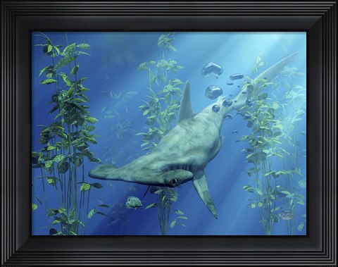 Framed Hammerhead Art Print