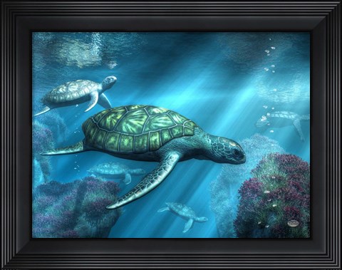 Framed Sea Turtles Print