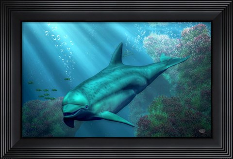 Framed Smiling Dolphin Print