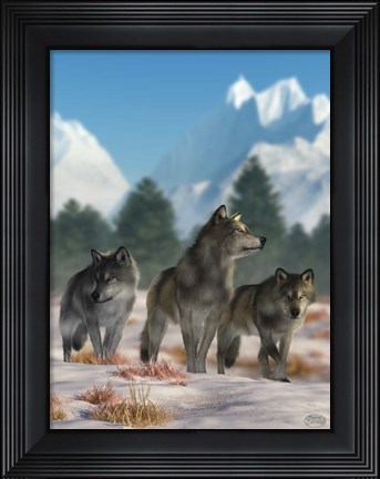 Framed Three Wolves Print