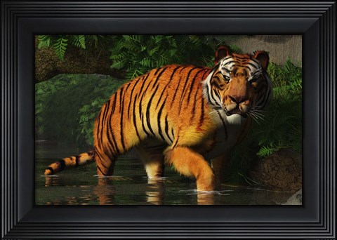 Framed Wading Tiger Print