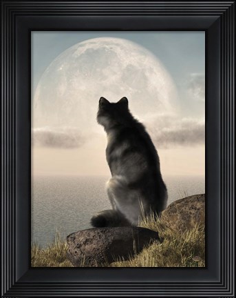 Framed Wolf Watching The Moonrise Print