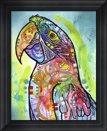 Framed Macaw Print
