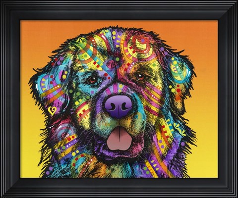 Framed Newfie Print