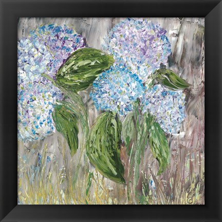 Framed Hydrangeas in Bloom Print