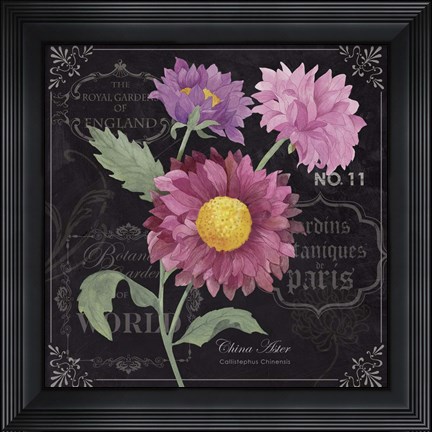 Framed Aster Print