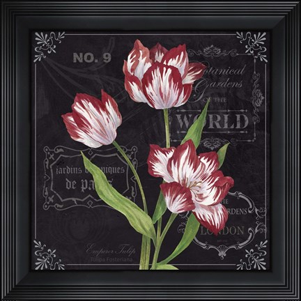 Framed Tulips Print