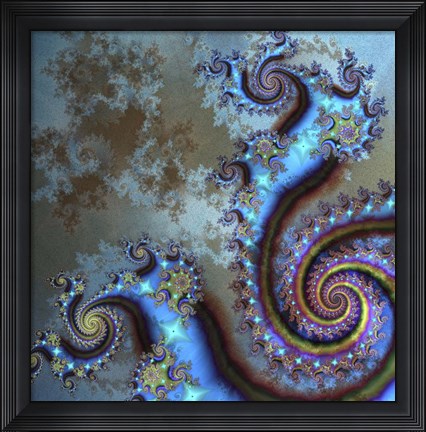 Framed Life Cycles Print
