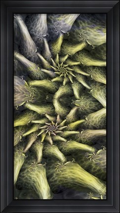 Framed Nest Print