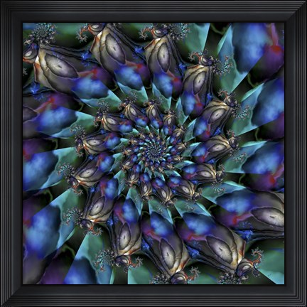 Framed Argus Print