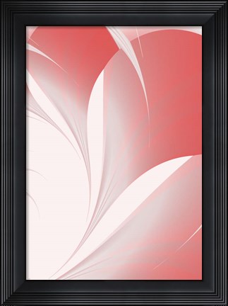Framed Petals II Print