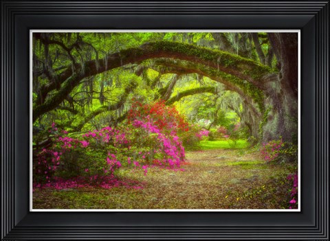 Framed Magnolia Gardens Print