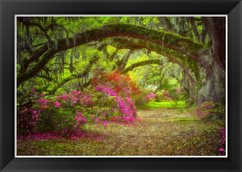 Framed Magnolia Gardens Print