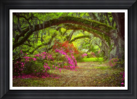 Framed Magnolia Gardens Print
