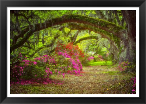 Framed Magnolia Gardens Print