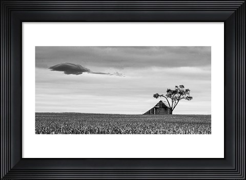 Framed Companions Print