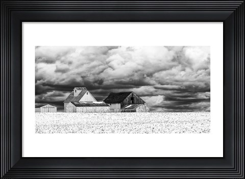 Framed Five White Barns Print
