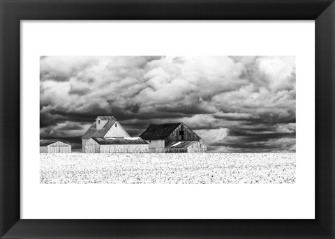 Framed Five White Barns Print