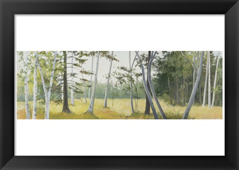 Framed Birch Field Print