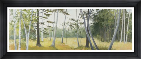 Framed Birch Field Print