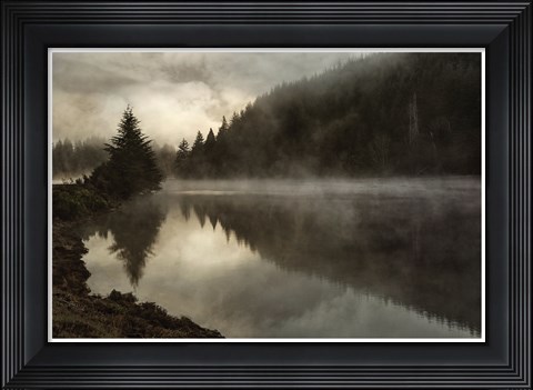 Framed Coos Fog Print