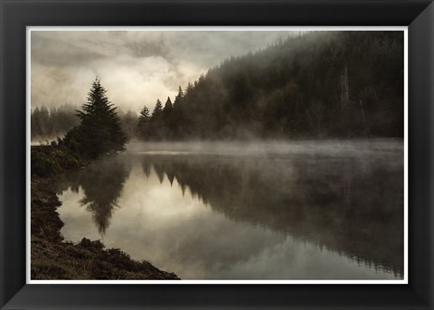 Framed Coos Fog Print