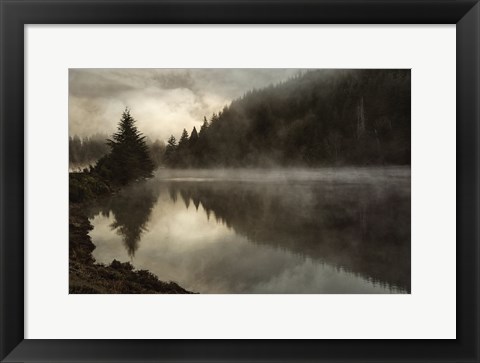 Framed Coos Fog Print