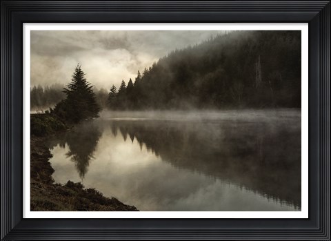 Framed Coos Fog Print