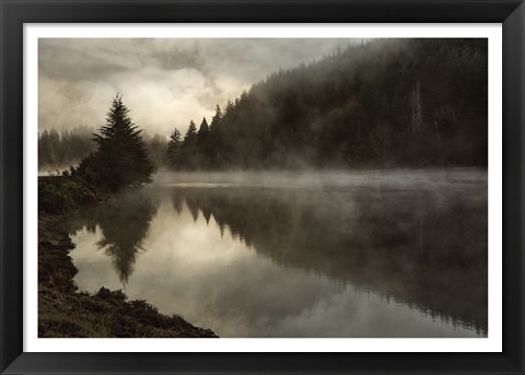 Framed Coos Fog Print