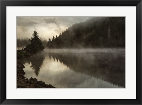 Framed Coos Fog Print