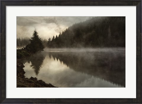 Framed Coos Fog Print