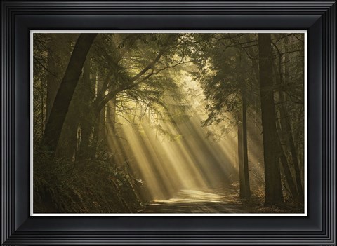 Framed L&#39;esprit du soleil Print