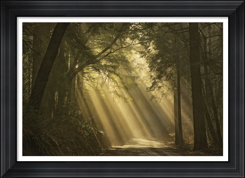 Framed L&#39;esprit du soleil Print