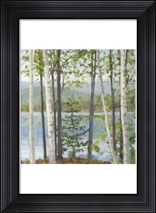 Framed Cooper Lake I Print