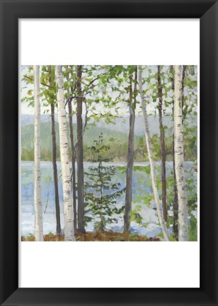 Framed Cooper Lake I Print