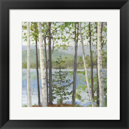 Framed Cooper Lake I Print